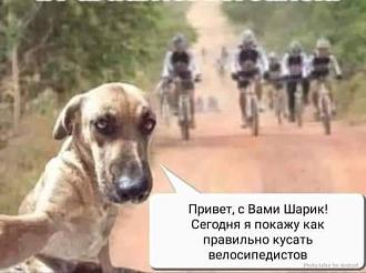 Нажмите на изображение для увеличения.

Название:	FB_IMG_1728278306532.jpg
Просмотров:	1253
Размер:	37.0 Кб
ID:	4511035