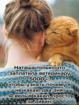 Нажмите на изображение для увеличения.

Название:	photoeditorsdk-export (15).png
Просмотров:	1319
Размер:	281.4 Кб
ID:	4511055