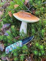 Нажмите на изображение для увеличения.

Название:	9.jpg
Просмотров:	3512
Размер:	737.0 Кб
ID:	4511405