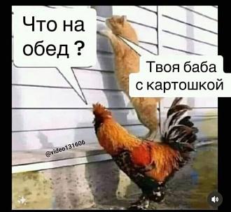 Нажмите на изображение для увеличения.

Название:	462590123_8828422217224084_4238372860015371773_n.jpg
Просмотров:	1393
Размер:	54.6 Кб
ID:	4511464