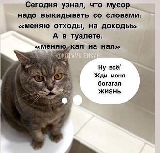 Нажмите на изображение для увеличения.  Название:	464012292_1720138962099613_7267802522193938100_n.jpg Просмотров:	15 Размер:	55.9 Кб ID:	4511926