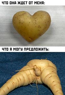 Нажмите на изображение для увеличения.

Название:	IMG_20241026_164517_666.jpg
Просмотров:	4726
Размер:	175.7 Кб
ID:	4511938