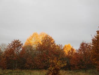 Нажмите на изображение для увеличения.

Название:	IMG_8424.JPG
Просмотров:	14568
Размер:	435.0 Кб
ID:	4512164