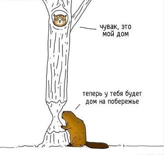 Нажмите на изображение для увеличения.

Название:	FB_IMG_1730366576203.jpg
Просмотров:	3091
Размер:	40.7 Кб
ID:	4512212