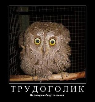 Нажмите на изображение для увеличения.  Название:	image_587552.jpg Просмотров:	216 Размер:	40.3 Кб ID:	4513086