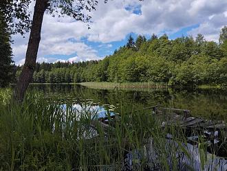 Нажмите на изображение для увеличения.

Название:	image_583903.jpg
Просмотров:	1025
Размер:	481.6 Кб
ID:	4513460