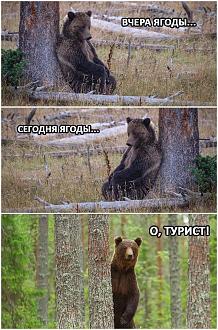 Нажмите на изображение для увеличения.

Название:	FB_IMG_1732535285700.jpg
Просмотров:	1388
Размер:	368.9 Кб
ID:	4513676