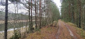 Нажмите на изображение для увеличения.  Название:	IMG_20241130_130525.jpg Просмотров:	0 Размер:	573.9 Кб ID:	4513972
