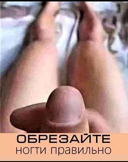 Нажмите на изображение для увеличения.  Название:	468883571_561665369940258_4402444895666651479_n.jpg Просмотров:	124 Размер:	117.3 Кб ID:	4514042