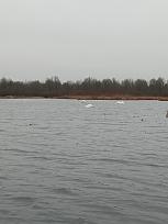 Нажмите на изображение для увеличения.  Название:	IMG_20241203_131001_039.jpg Просмотров:	0 Размер:	252.1 Кб ID:	4514109