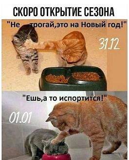 Нажмите на изображение для увеличения.

Название:	IMG_20241204_215002_473.jpg
Просмотров:	931
Размер:	164.4 Кб
ID:	4514217