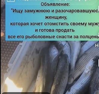 Нажмите на изображение для увеличения.

Название:	IMG-1700871195413695e1ac990ad6e0a4cc-V.jpg
Просмотров:	3231
Размер:	60.0 Кб
ID:	4514263