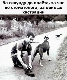 Нажмите на изображение для увеличения.  Название:	IMG-09b58d1b4ae2fb6a11c4a7e4a45a1810-V.jpg Просмотров:	0 Размер:	46.4 Кб ID:	4514368