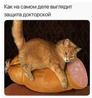 Нажмите на изображение для увеличения.

Название:	IMG_20241208_180122_119.jpg
Просмотров:	2696
Размер:	78.4 Кб
ID:	4514386