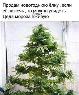 Нажмите на изображение для увеличения.

Название:	469389127_122132251946495723_1102432035681345682_n.jpg
Просмотров:	2806
Размер:	85.6 Кб
ID:	4514419