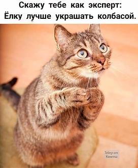 Нажмите на изображение для увеличения.  Название:	IMG-7067fb74b0555ee57e602154f5ce4e5f-V.jpg Просмотров:	35 Размер:	91.9 Кб ID:	4514800