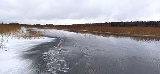 Нажмите на изображение для увеличения.

Название:	IMG_20241216_121625.jpg
Просмотров:	17036
Размер:	467.6 Кб
ID:	4514845