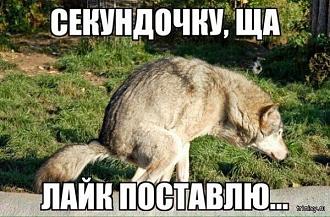 Нажмите на изображение для увеличения.

Название:	1734657230_592d8a8ed5ed4.jpg
Просмотров:	937
Размер:	97.3 Кб
ID:	4515441