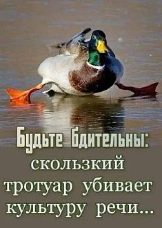 Нажмите на изображение для увеличения.

Название:	IMG_20250104_101131_197.jpg
Просмотров:	2384
Размер:	75.0 Кб
ID:	4516133