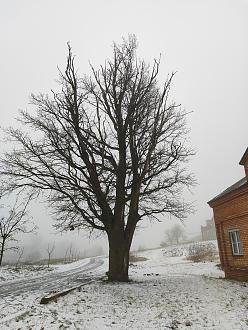 Нажмите на изображение для увеличения.

Название:	IMG_20250107_135144.jpg
Просмотров:	5042
Размер:	634.4 Кб
ID:	4516243