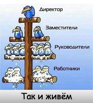 Нажмите на изображение для увеличения.

Название:	IMG_20250109_182737_454.jpg
Просмотров:	1969
Размер:	89.2 Кб
ID:	4516346