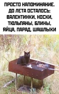 Нажмите на изображение для увеличения.

Название:	IMG_20250122_075937_080.jpg
Просмотров:	1084
Размер:	116.7 Кб
ID:	4517067