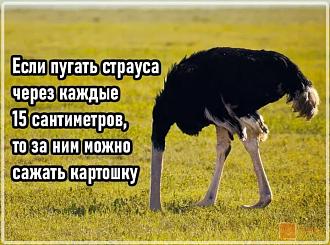 Нажмите на изображение для увеличения.

Название:	474800520_1163781535097431_1738024623577422143_n.jpg
Просмотров:	2094
Размер:	105.6 Кб
ID:	4517628