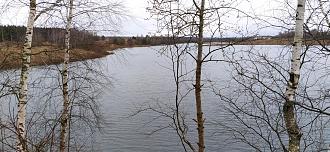 Нажмите на изображение для увеличения.

Название:	IMG_20250202_102320.jpg
Просмотров:	2631
Размер:	576.5 Кб
ID:	4517932