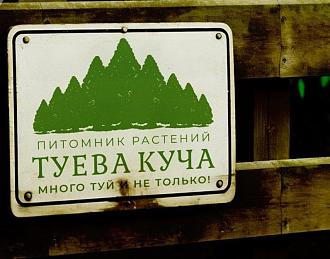 Нажмите на изображение для увеличения.

Название:	IMG_20250206_191225_028.jpg
Просмотров:	1523
Размер:	99.0 Кб
ID:	4518252