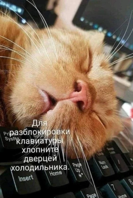 Нажмите на изображение для увеличения.

Название:	photoeditorsdk-export (7).png
Просмотров:	2021
Размер:	223.9 Кб
ID:	4518379
