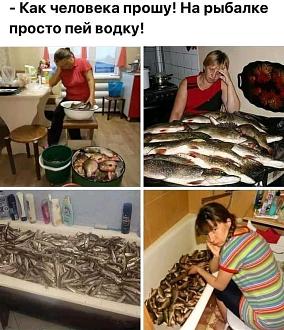 Нажмите на изображение для увеличения.

Название:	IMG_20250210_121315_258.jpg
Просмотров:	1386
Размер:	138.1 Кб
ID:	4518479