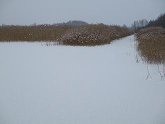 Нажмите на изображение для увеличения.

Название:	IMG_0176.JPG
Просмотров:	7772
Размер:	289.8 Кб
ID:	4518637