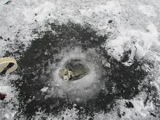 Нажмите на изображение для увеличения.

Название:	IMG_0191.JPG
Просмотров:	7849
Размер:	559.0 Кб
ID:	4518639