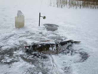 Нажмите на изображение для увеличения.

Название:	IMG_0182.JPG
Просмотров:	7885
Размер:	499.2 Кб
ID:	4518640