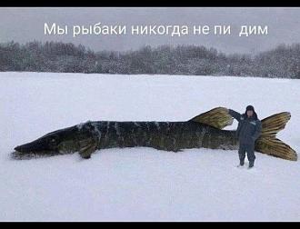 Нажмите на изображение для увеличения.

Название:	IMG_20250213_125324_895.jpg
Просмотров:	1153
Размер:	53.7 Кб
ID:	4518806