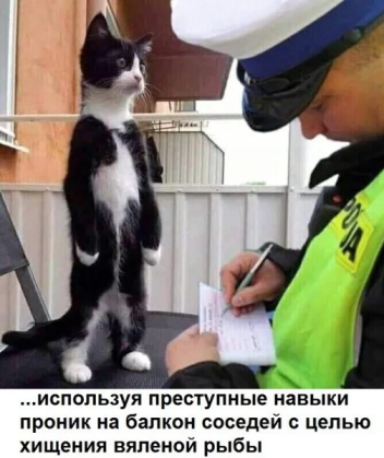 Нажмите на изображение для увеличения.

Название:	67b367a9a582e_photoeditorsdk-export(7).png.66c8ff98af1c8fb9469d2311d4bafab2.png
Просмотров:	2979
Размер:	229.6 Кб
ID:	4519163