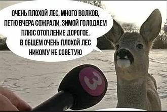 Нажмите на изображение для увеличения.  Название:	FB_IMG_1739861573737.jpg Просмотров:	2 Размер:	99.0 Кб ID:	4519209