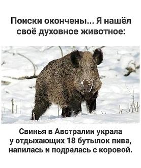 Нажмите на изображение для увеличения.

Название:	IMG_20250228_203516_086.jpg
Просмотров:	1481
Размер:	107.5 Кб
ID:	4520070
