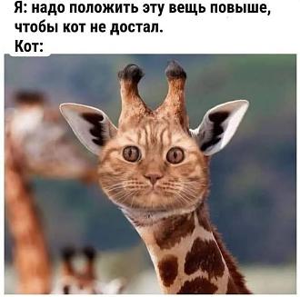 Нажмите на изображение для увеличения.

Название:	481296139_9591280620911127_6284717708567317260_n.jpg
Просмотров:	1071
Размер:	45.5 Кб
ID:	4520118