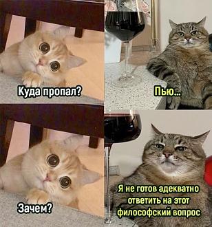 Нажмите на изображение для увеличения.

Название:	481469085_1074296304741220_190026569092306312_n.jpg
Просмотров:	1104
Размер:	72.3 Кб
ID:	4520212