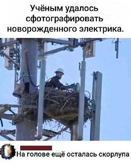 Нажмите на изображение для увеличения.

Название:	IMG_20250304_134048_195.jpg
Просмотров:	1463
Размер:	88.8 Кб
ID:	4520386