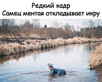 Нажмите на изображение для увеличения.

Название:	482027849_2945518668964510_8222419733568967279_n.jpg
Просмотров:	1549
Размер:	89.4 Кб
ID:	4520407