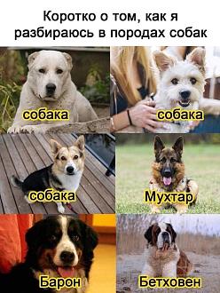 Нажмите на изображение для увеличения.

Название:	482053567_1046619504160649_6353653287477395580_n.jpg
Просмотров:	432
Размер:	219.9 Кб
ID:	4520694