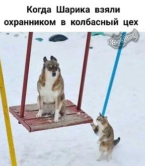 Нажмите на изображение для увеличения.

Название:	FB_IMG_1741764180482.jpg
Просмотров:	553
Размер:	84.1 Кб
ID:	4520980