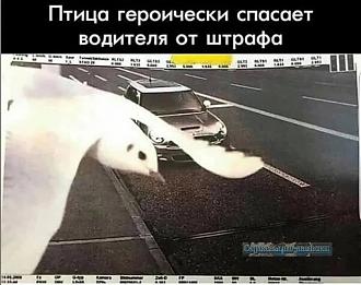 Нажмите на изображение для увеличения.

Название:	IMG_20250311_100523_514.jpg
Просмотров:	886
Размер:	118.5 Кб
ID:	4521110