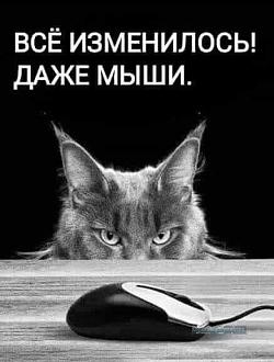 Нажмите на изображение для увеличения.

Название:	IMG_20250311_095941_130.jpg
Просмотров:	883
Размер:	36.2 Кб
ID:	4521111