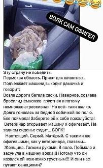 Нажмите на изображение для увеличения.

Название:	IMG_20250318_195116_460.jpg
Просмотров:	658
Размер:	111.2 Кб
ID:	4521336