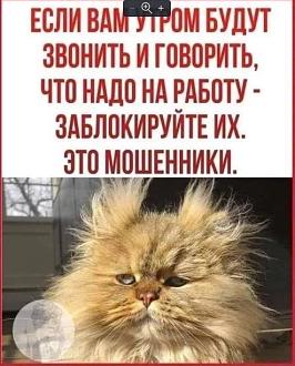 Нажмите на изображение для увеличения.

Название:	Скриншот 19-03-2025 152331.jpg
Просмотров:	1210
Размер:	87.5 Кб
ID:	4521399