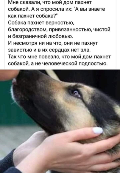 Нажмите на изображение для увеличения.

Название:	photoeditorsdk-export (1).png
Просмотров:	921
Размер:	264.4 Кб
ID:	4521560
