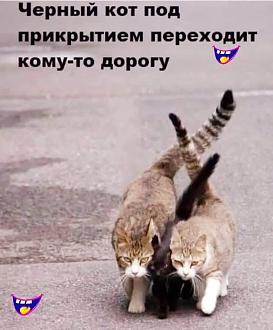Нажмите на изображение для увеличения.

Название:	IMG_20250320_184657_060.jpg
Просмотров:	658
Размер:	85.4 Кб
ID:	4521628